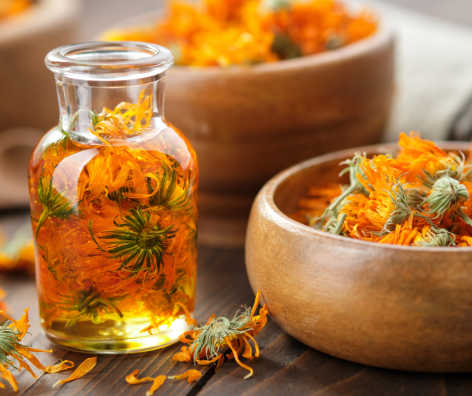 Kādas ārstnieciskās īpašības piemīt kliņģerītēm?