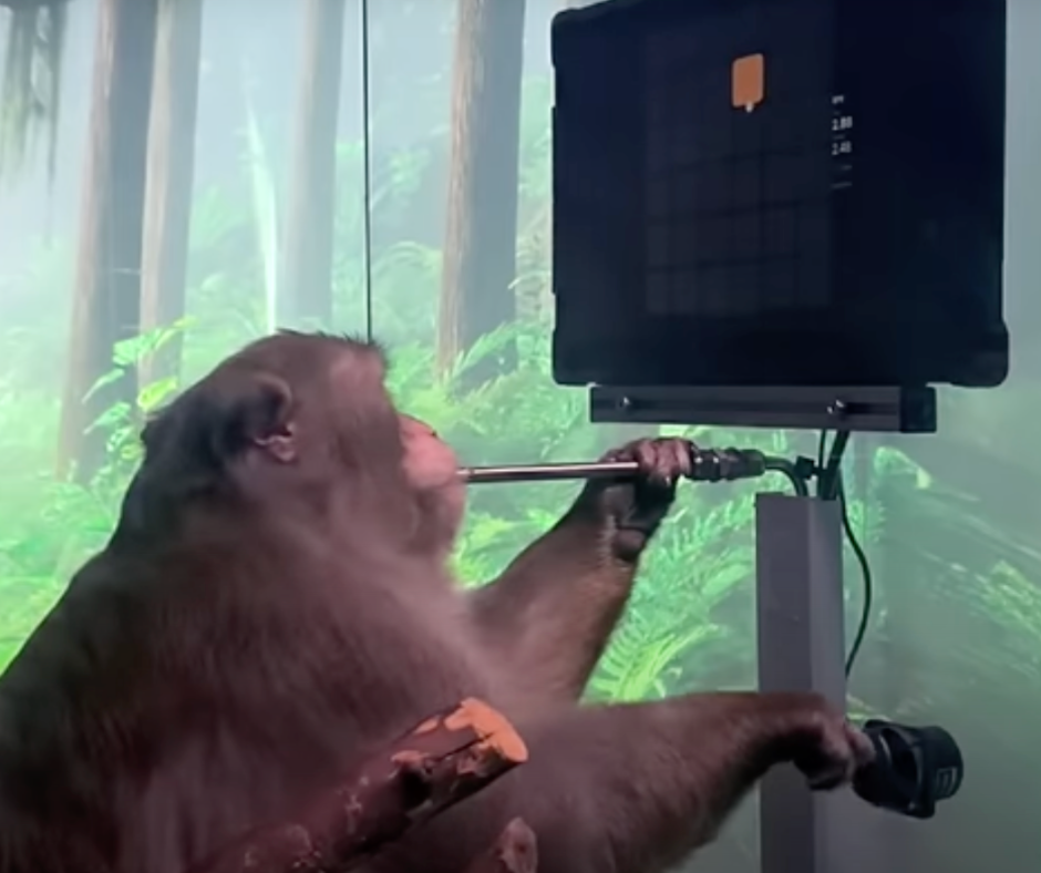 Kā Elona Maska Neuralink veicas ar ieceri ievietot smadzenēs čipu?