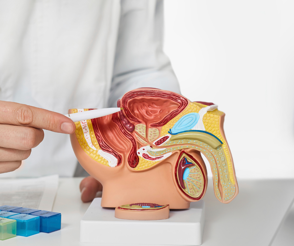 Stradiņos inovatīvi ārstēs prostatas labdabīgas palielināšanas gadījumus