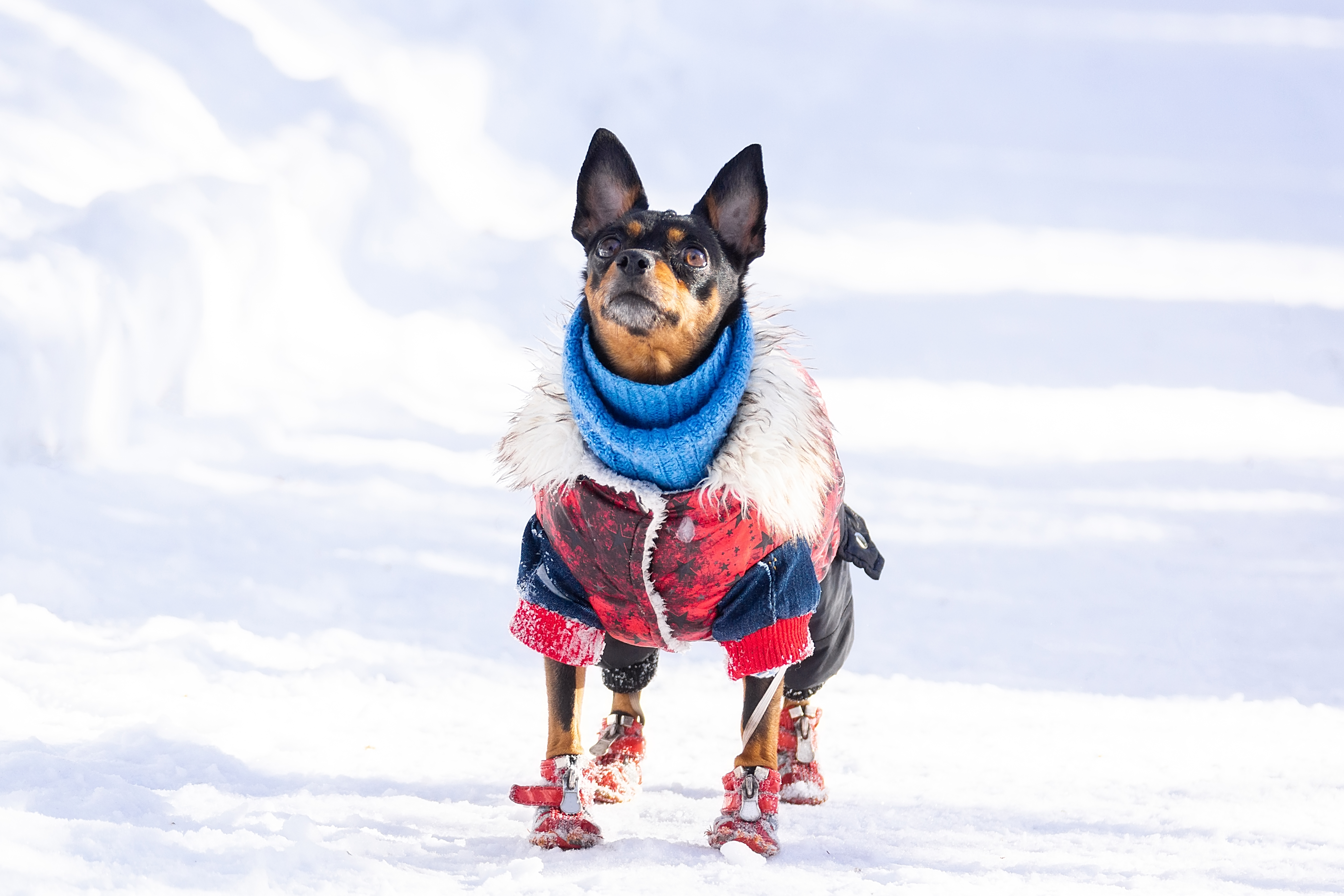 Kāpēc drēgnumā sāp locītavas un kā rīkoties