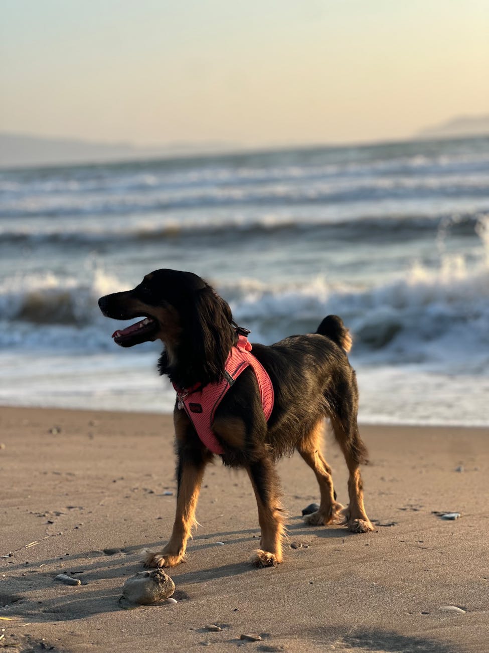 Glābējkomplekts vasaras atpūtai un festivāliem: kas un kāpēc noderēs aptieciņai