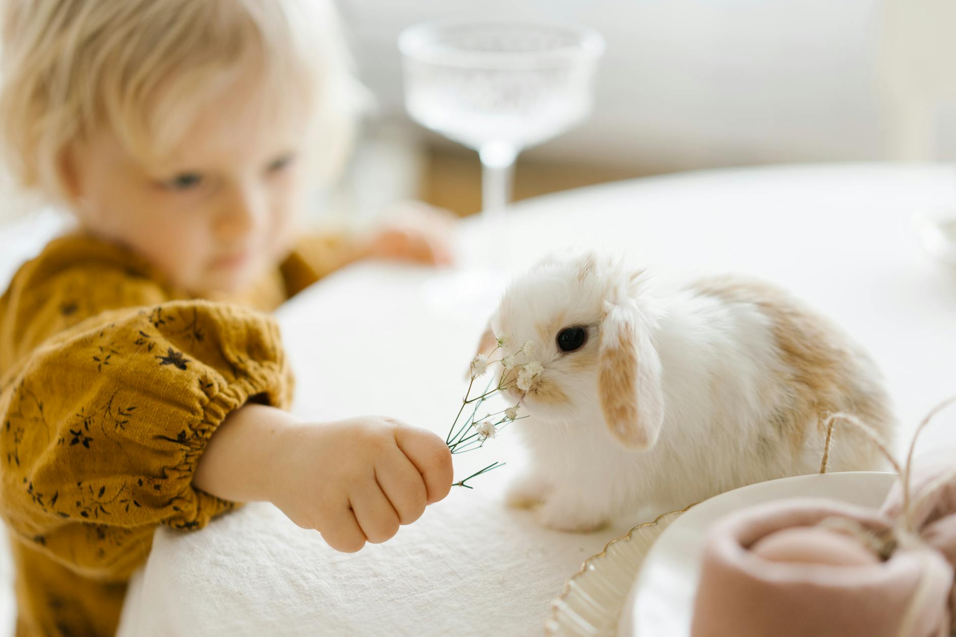 a baby playing with a bunny