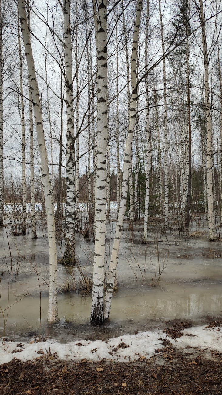 Atkusnis tuvojas – kā laikus sagatavoties iespējamiem plūdiem: praktiski soļi un drošības risinājumi